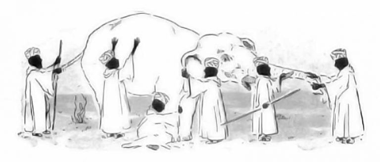 Blind men and the elephant